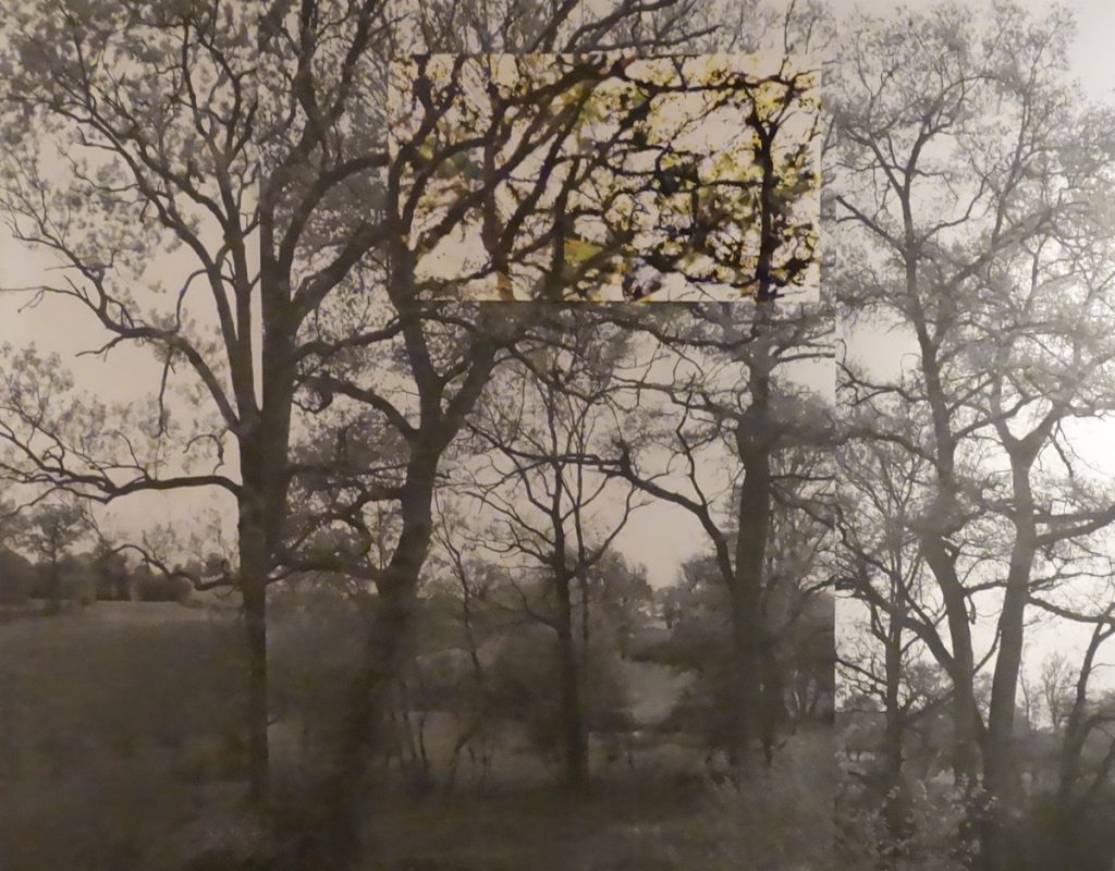 Des paysages au fil - 2013