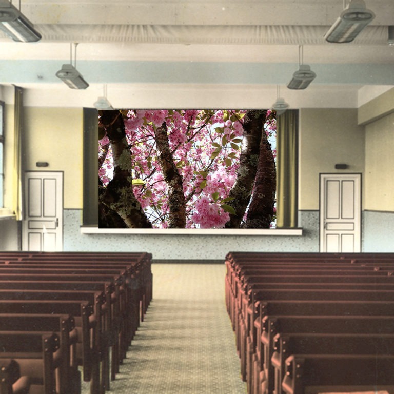 Culture et Santé, image 4 sur 7