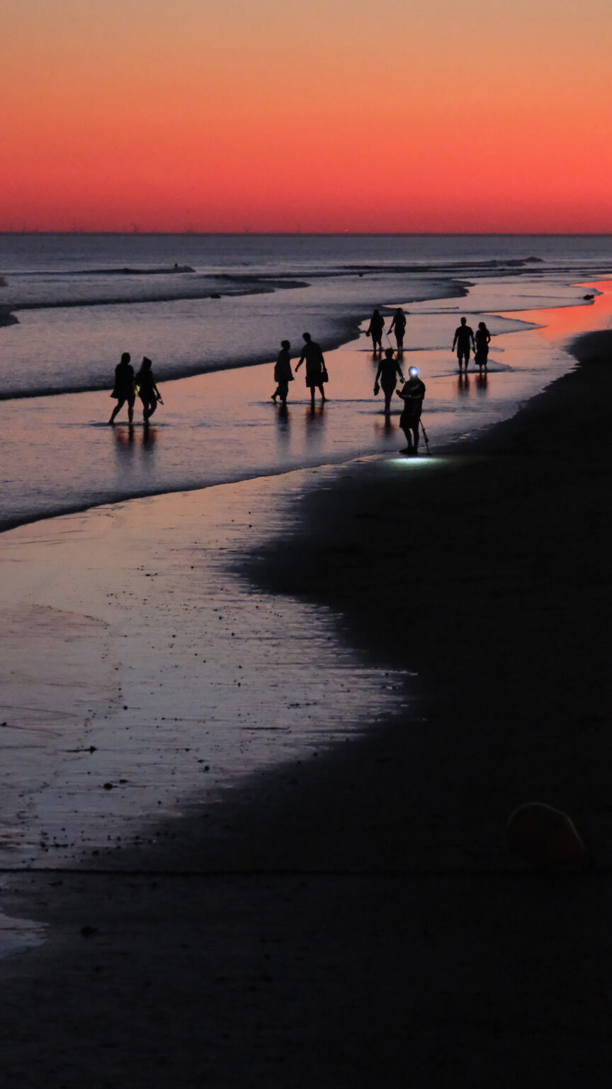 Vendée, image 1 sur 5