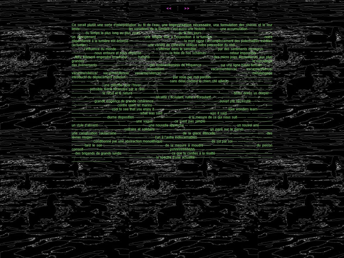 Net Art, image 6 sur 8
